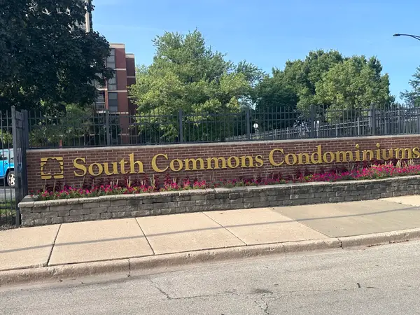 3021 S Michigan Avenue #311, Chicago, IL 60616