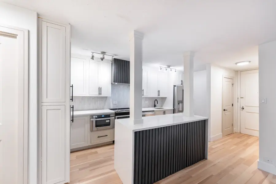 1339 N Dearborn Street #2B, Chicago, IL 60610 - Image #2