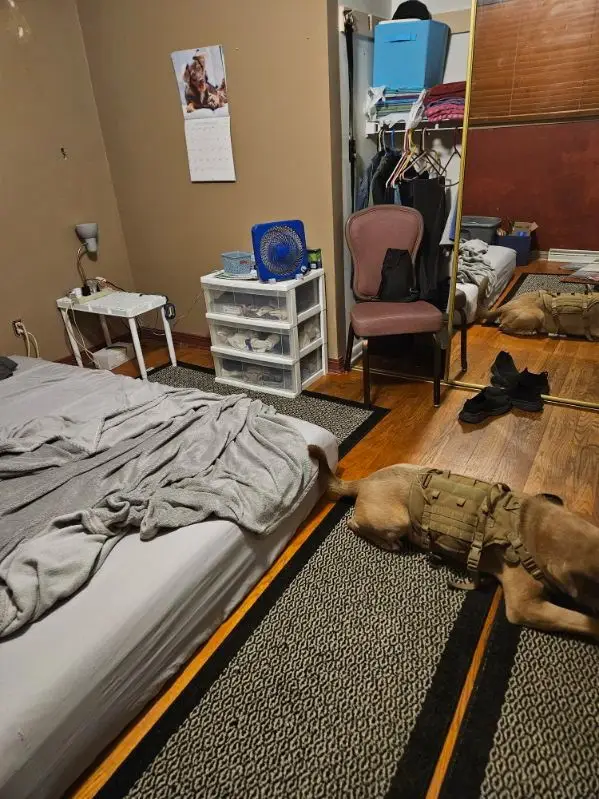 5504 Louella Avenue, McHenry, IL 60050 - Image #3