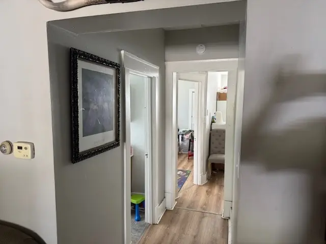 114 E Lincoln Street, Saybrook, IL 61770 - Image #3