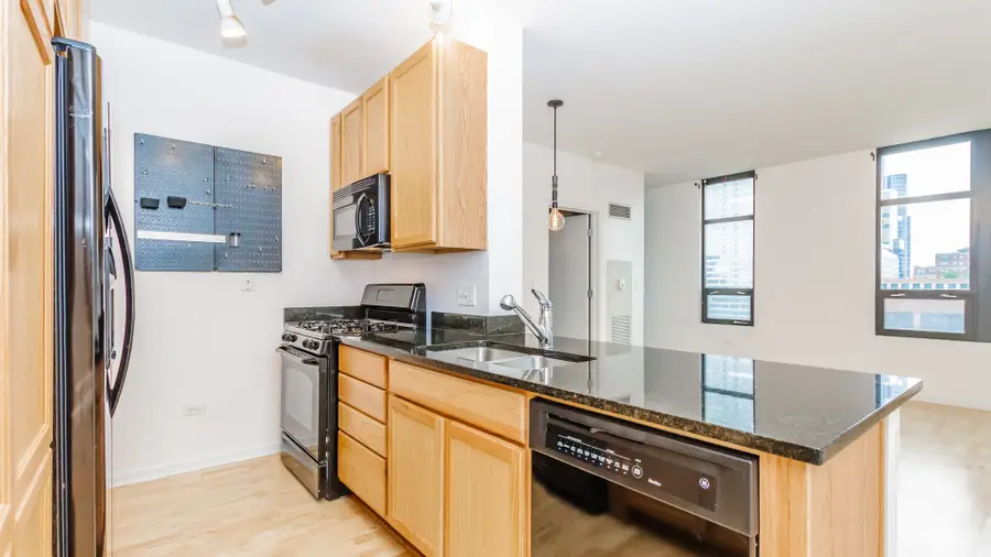 1255 S State Street #1011, Chicago, IL 60605 - Image #2
