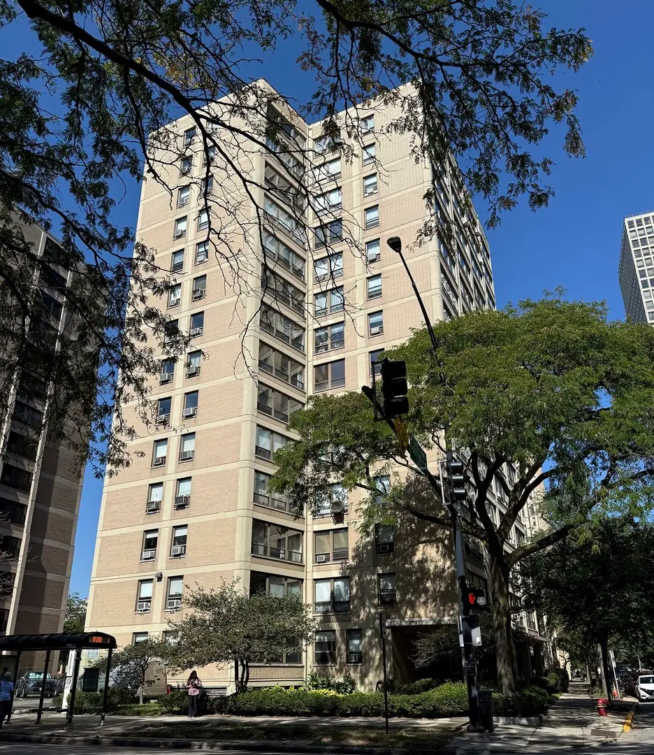 5050 S East End Avenue #4B, Chicago, IL 60615 - Image #1