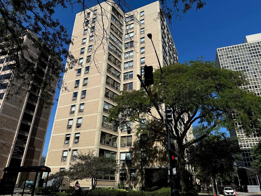 5050 S East End Avenue #4B, Chicago, IL 60615 - Image #2