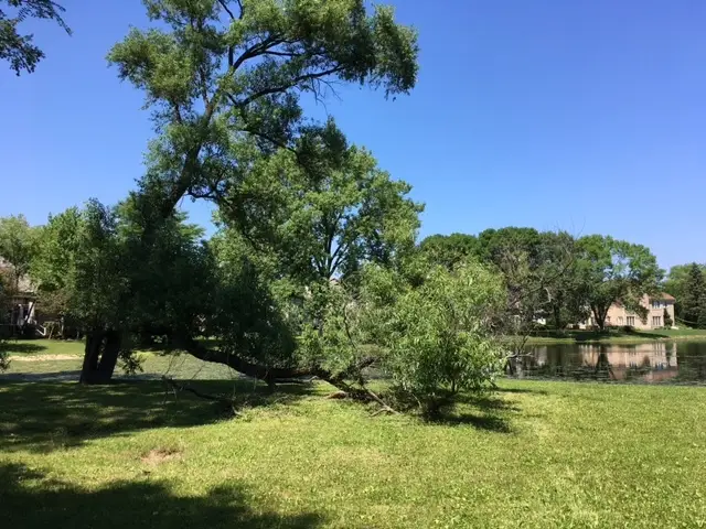 1318 Kajer Lane, Lake Forest, IL 60045 - Image #3