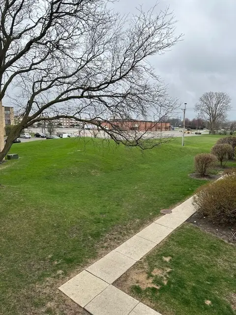 674 Pinecrest Drive #203, Prospect Heights, IL 60070 - Image #2