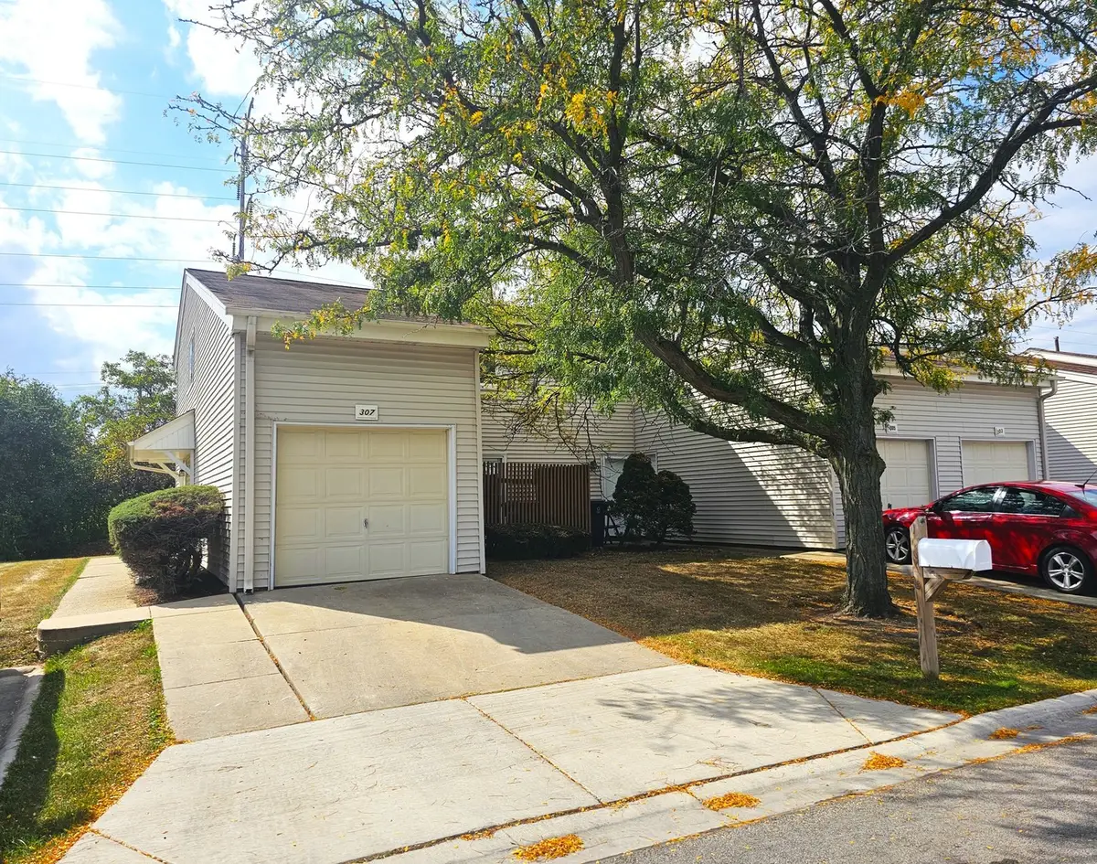 307 E Alpine Drive, Glendale Heights, IL 60139 - Image #1