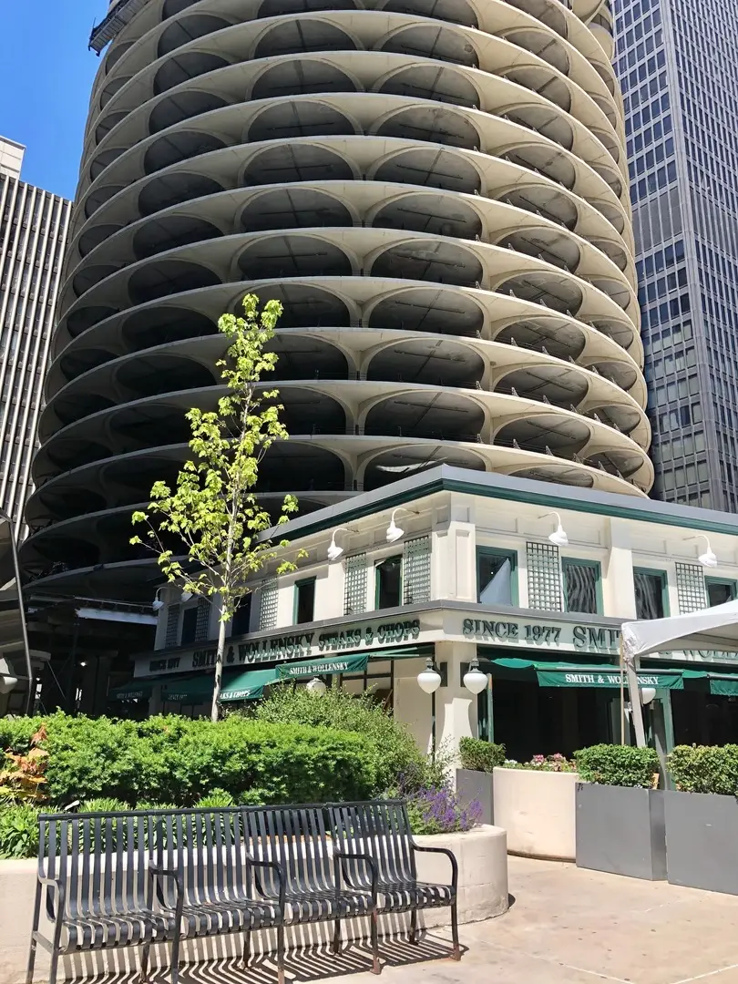 300 N State Street #3228, Chicago, IL 60654 - Image #1