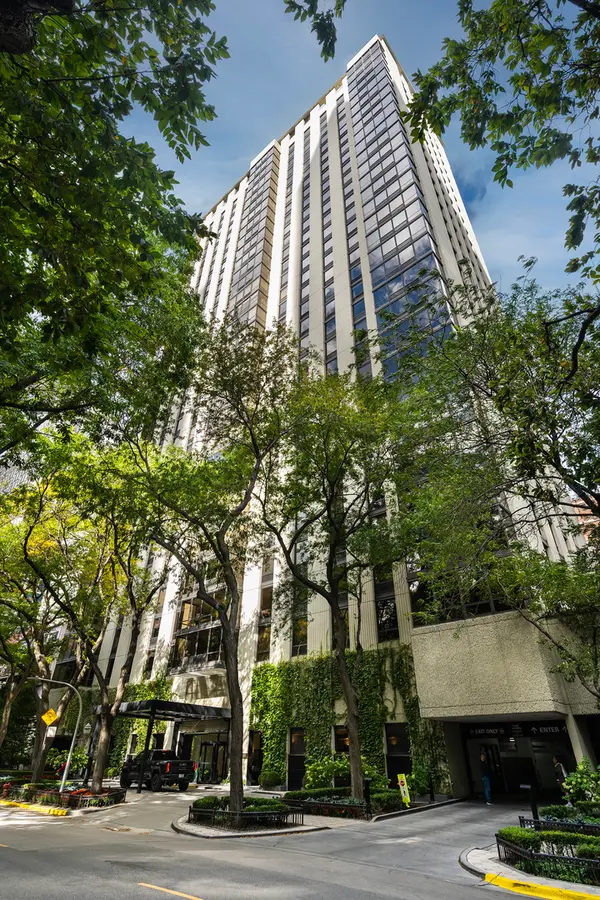 100 E Bellevue Place #5E, Chicago, IL 60611