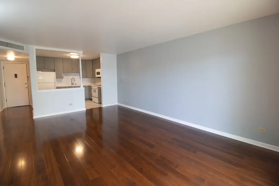 650 Murray Lane #214, Des Plaines, IL 60016 - Image #3