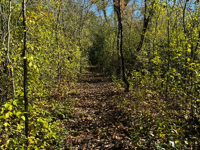 23976 W Beach Grove Road, Antioch, IL 60002 - Image #1