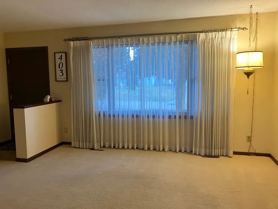 403 E Park Street, Morrison, IL 61270 - Image #3