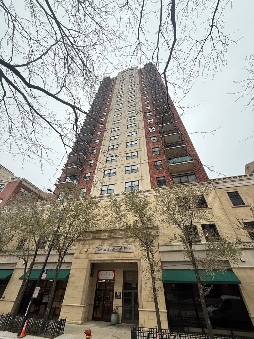 1529 S State Street #8B, Chicago, IL 60605 - Image #1