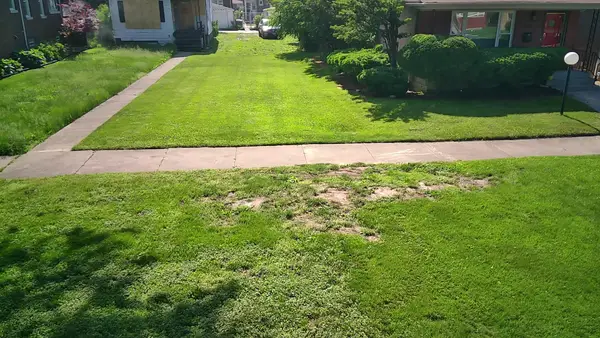 7736 S Indiana Avenue, Chicago, IL 60619