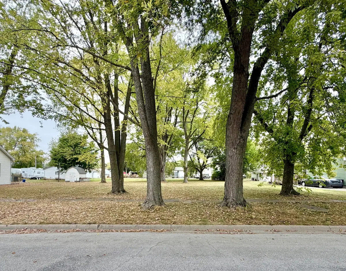 313 E Orchard Street, Forrest, IL 61741 - Image #1