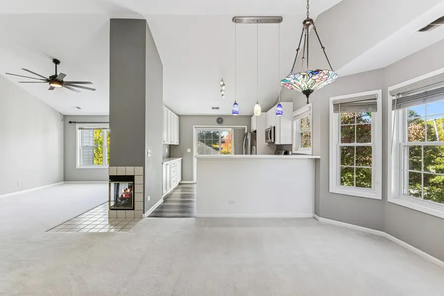 303 Stillwater Court #303, Wauconda, IL 60084 - Image #3