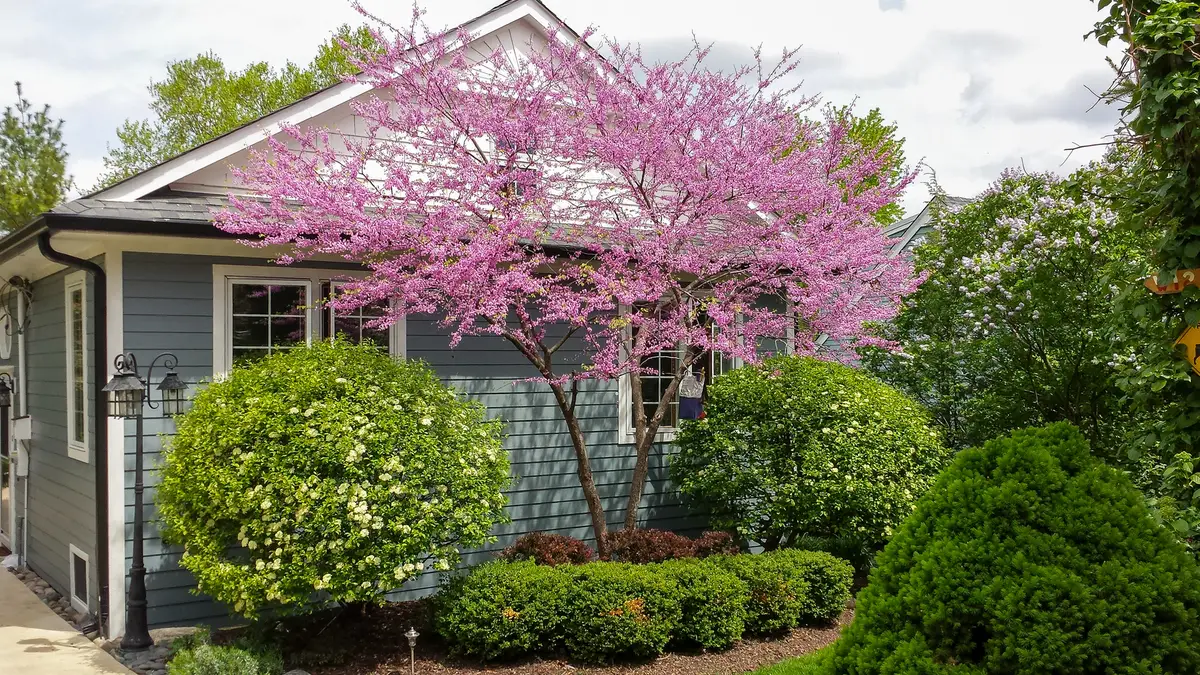 22w474 Emerson Avenue, Glen Ellyn, IL 60137 - Image #1