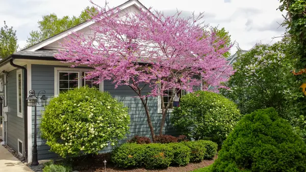 22w474 Emerson Avenue, Glen Ellyn, IL 60137