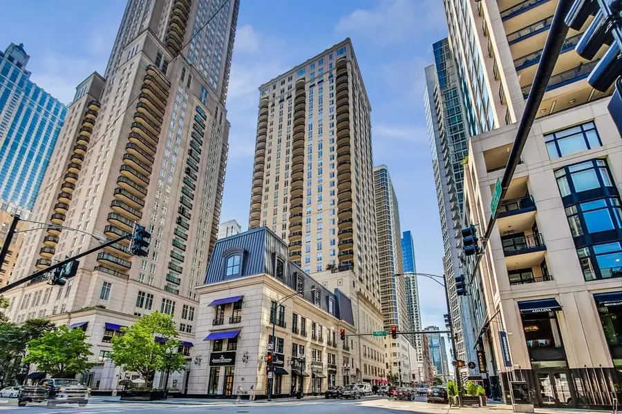 10 E Delaware Place #20A, Chicago, IL 60611 - Image #3