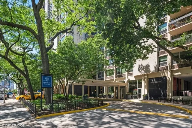 1255 N Sandburg Terrace #1707, Chicago, IL 60610 - Image #3