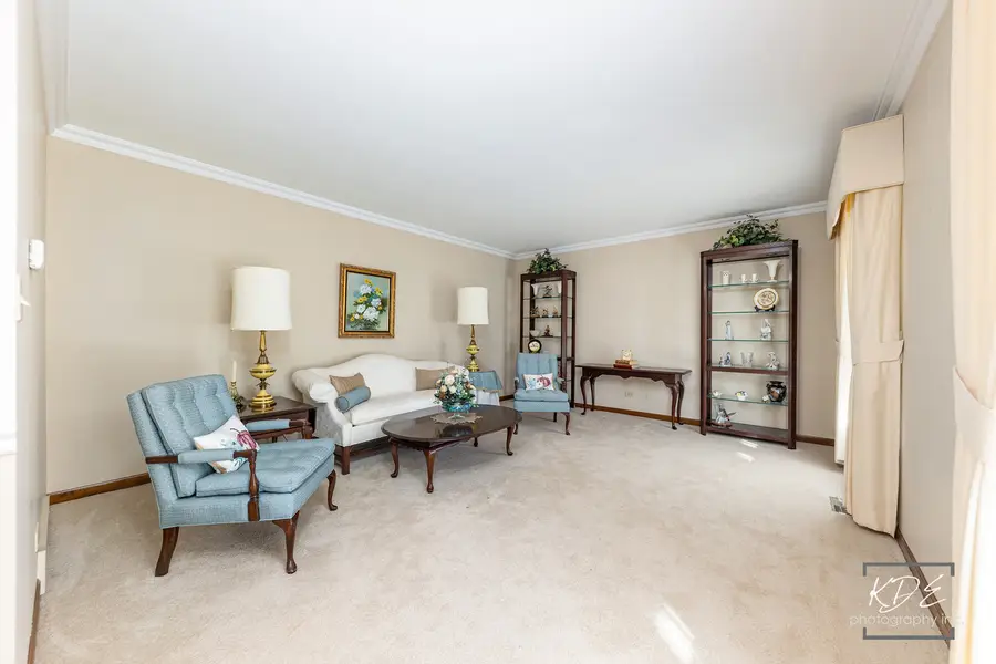 923 Tim Tam Circle, Naperville, IL 60540 - Image #3