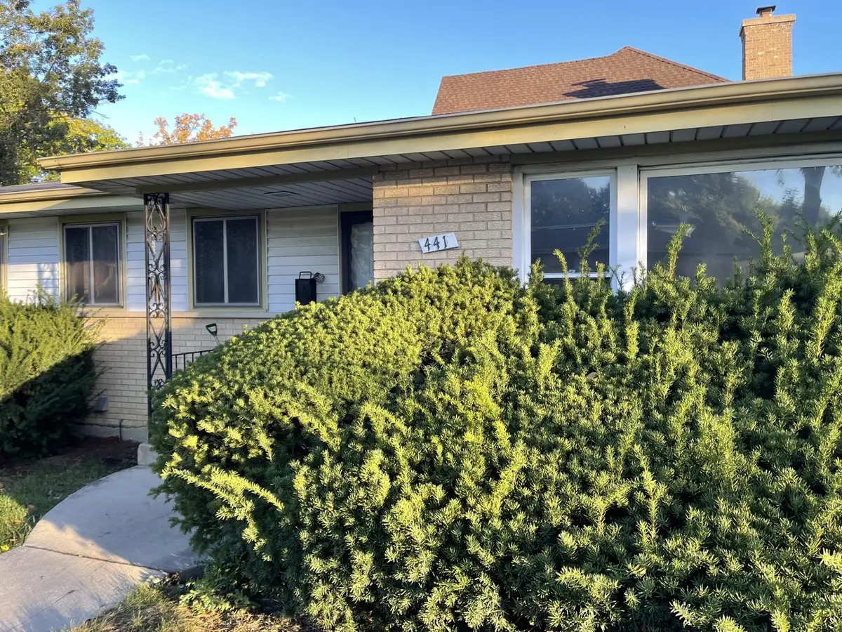 441 E Adams Street, Elmhurst, IL 60126 - #1