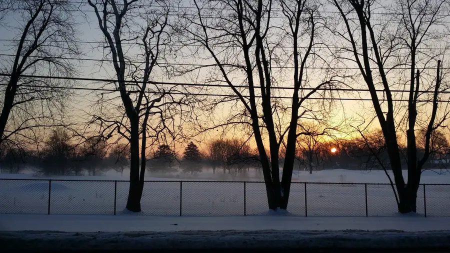 512 S Busse Road, Mount Prospect, IL 60056 - Image #2