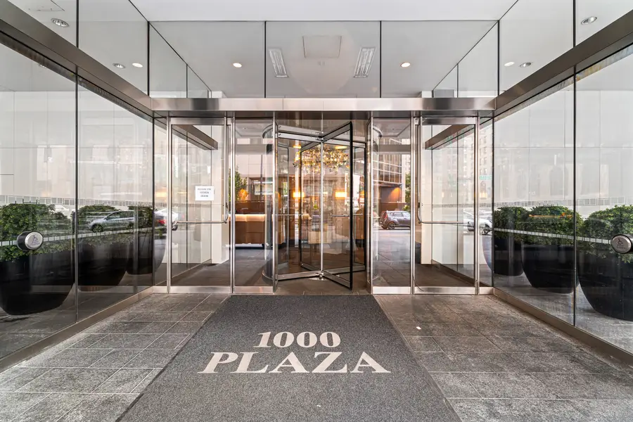 1000 N Lake Shore Plaza #49A, Chicago, IL 60611 - Image #2
