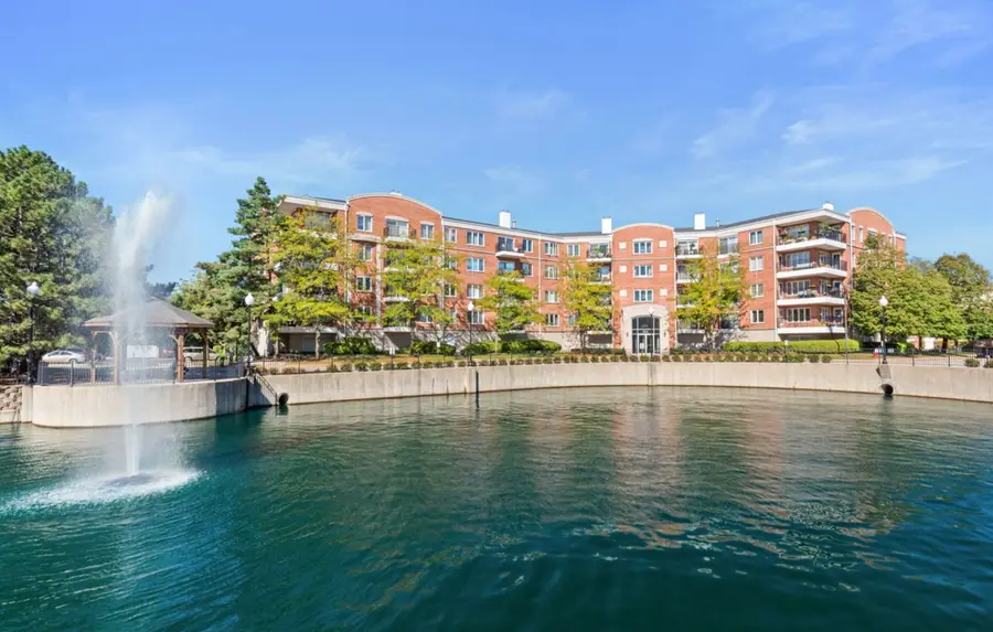 451 Town Place Circle #411, Buffalo Grove, IL 60089 - Image #3