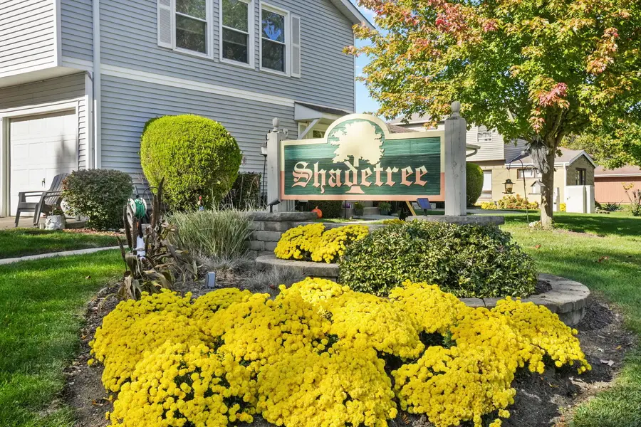 5208 Woodland Drive #A, Oak Forest, IL 60452 - Image #2