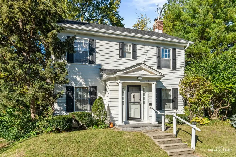 203 S Calumet Avenue, Aurora, IL 60506 - Image #3