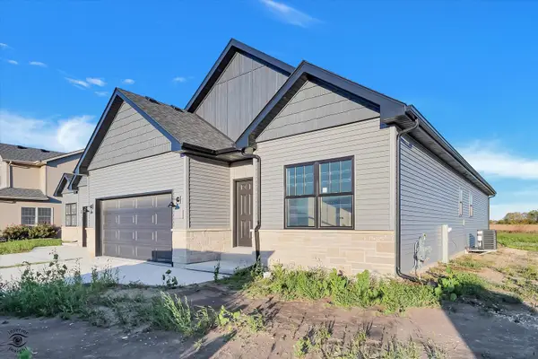 1185 S Farmstone Drive, Diamond, IL 60416