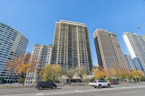1212 N Lake Shore Drive #10CS, Chicago, IL 60610