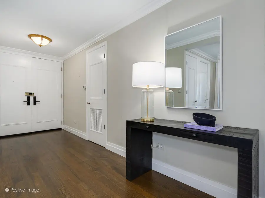 1212 N Lake Shore Drive #12CN, Chicago, IL 60610 - Image #2
