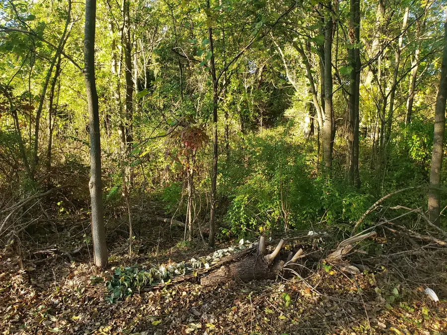 7234 Ash Place, Gary, IN 46403 - Image #3