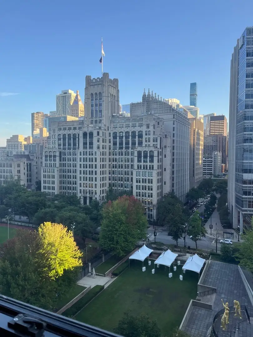 222 E Pearson Street #1406, Chicago, IL 60611 - Image #2