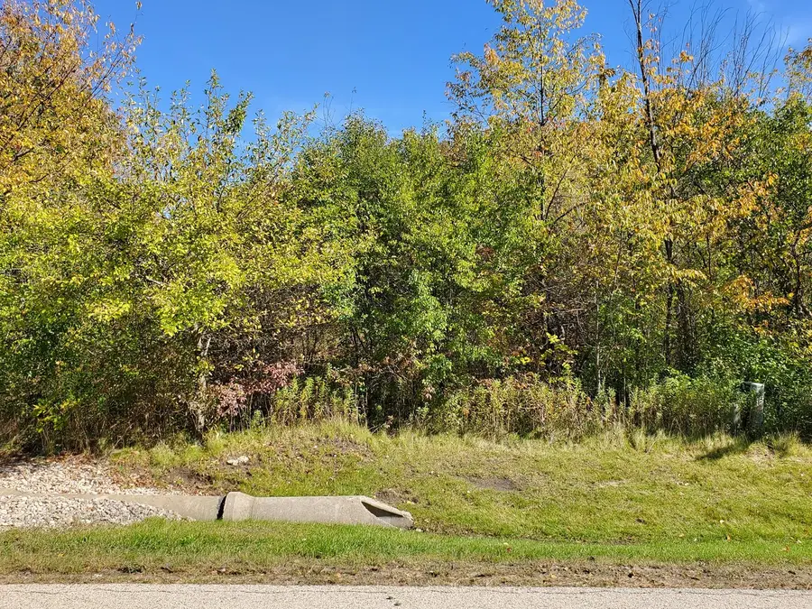 39587 Orchard Bluff Lane, Wadsworth, IL 60083 - Image #2