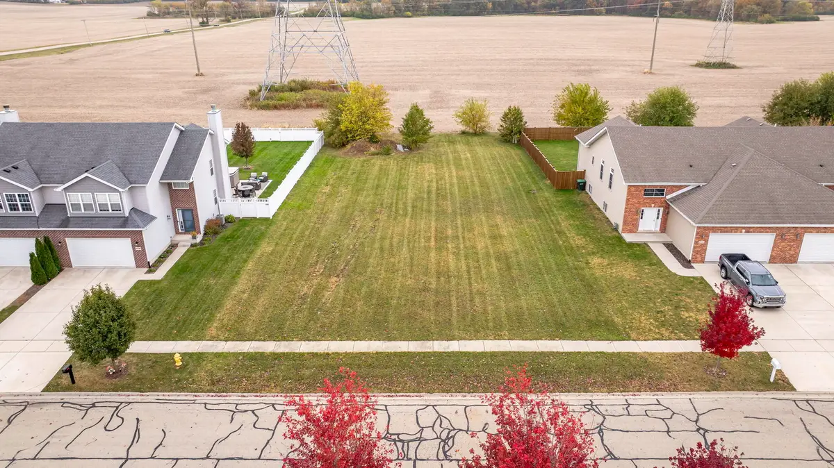 27243 & 27249 W Deer Hollow Lane, Channahon, IL 60410 - #1