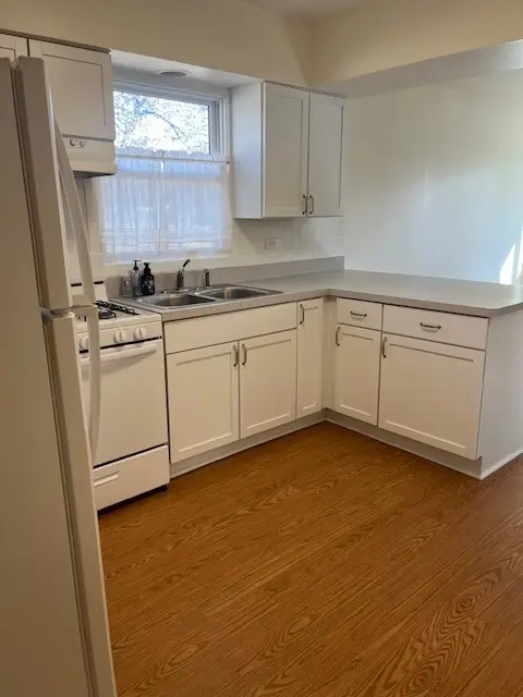 111 Dupage Street, Shorewood, IL 60404 - Image #3