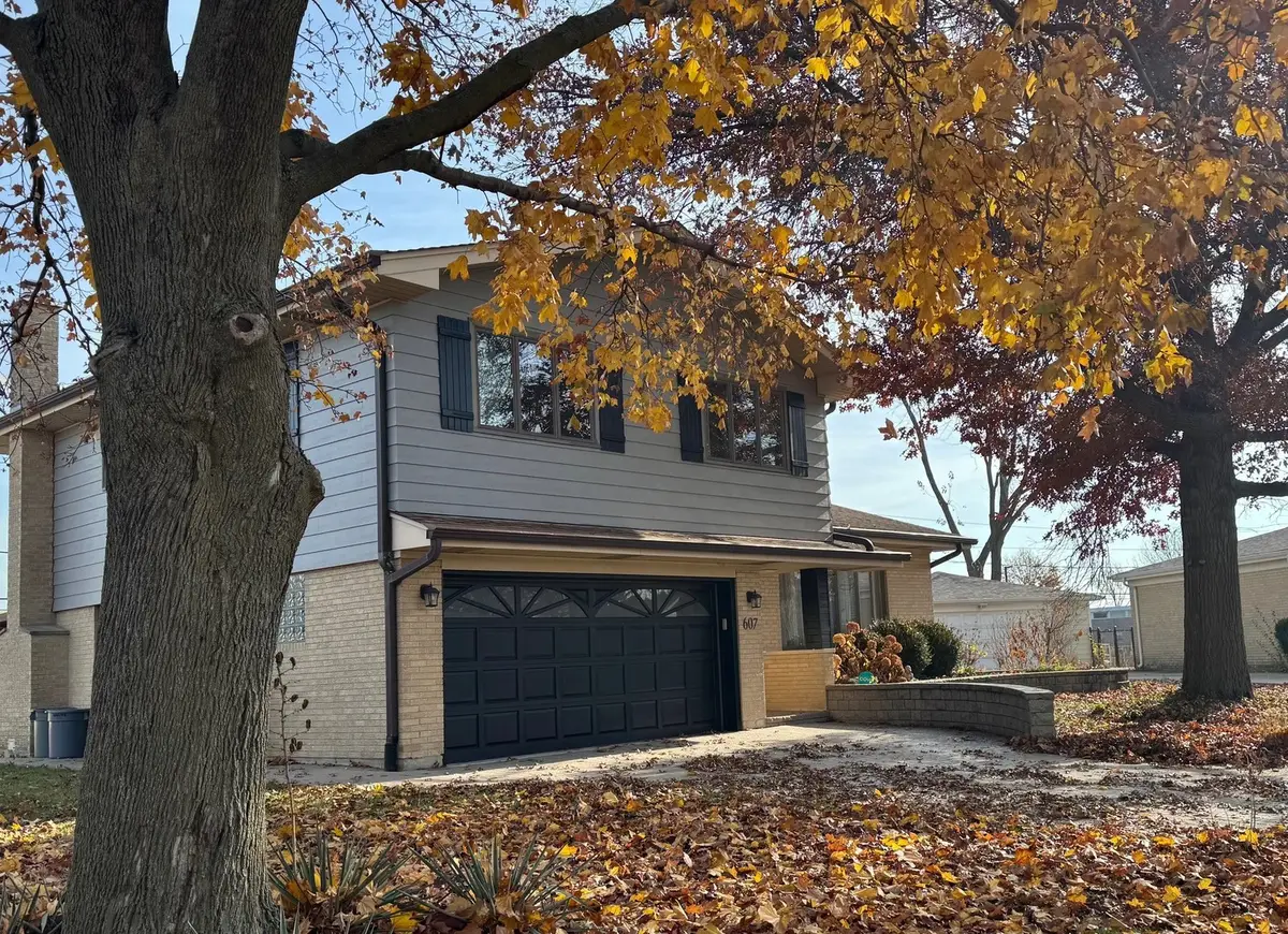 607 S Carol Lane, Mount Prospect, IL 60056 - #1