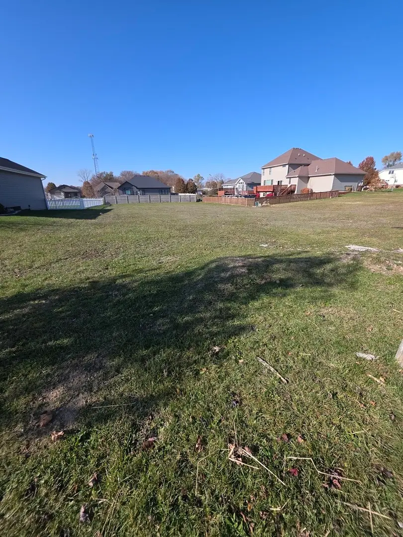 206 Hickory Street, Peotone, IL 60468 - Image #1