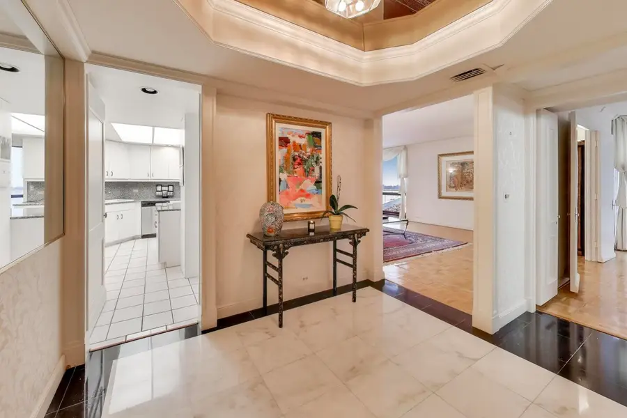 990 N Lake Shore Drive #9A, Chicago, IL 60611 - Image #3