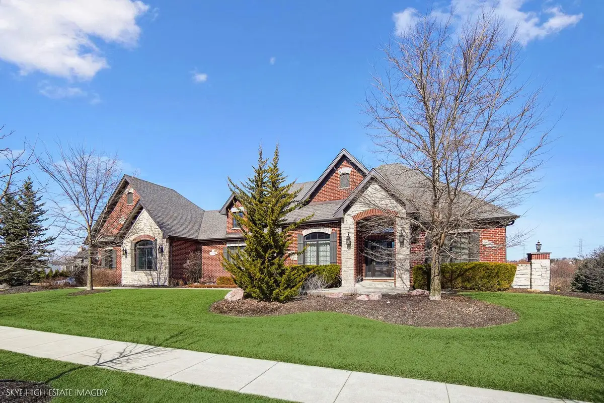 20643 Michigan Island Court, Frankfort, IL 60423 - #1