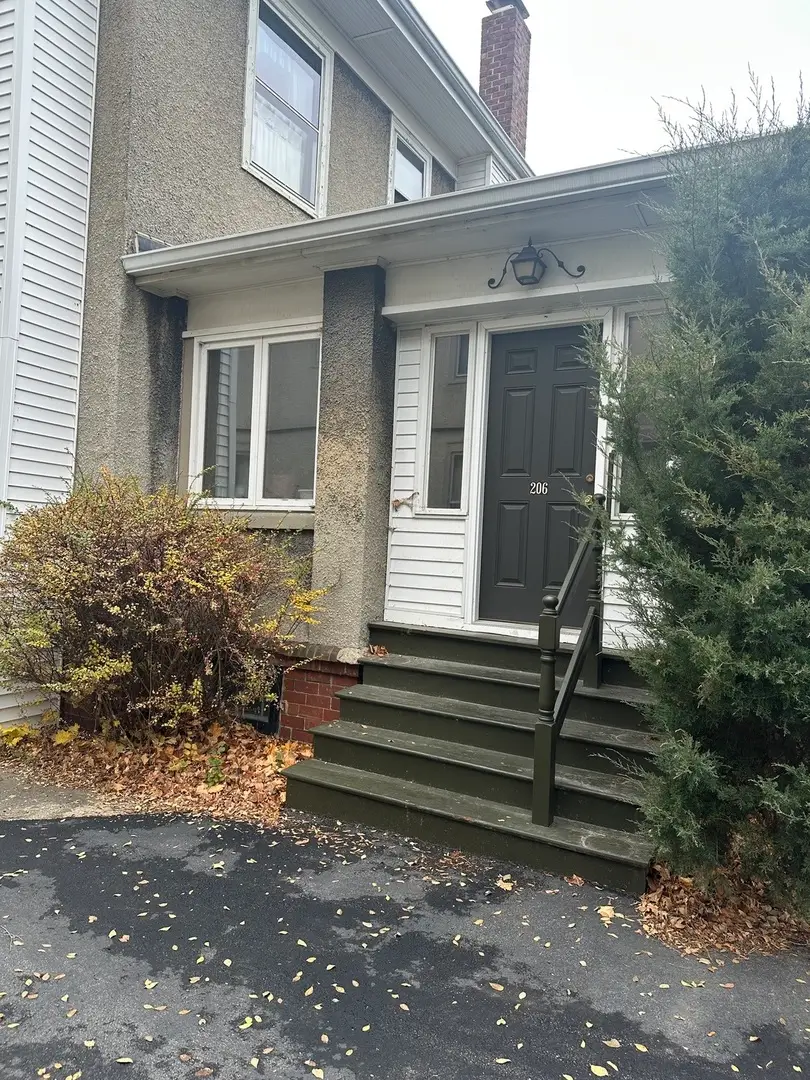 206 W Erie Street, Spring Valley, IL 61362 - Image #3