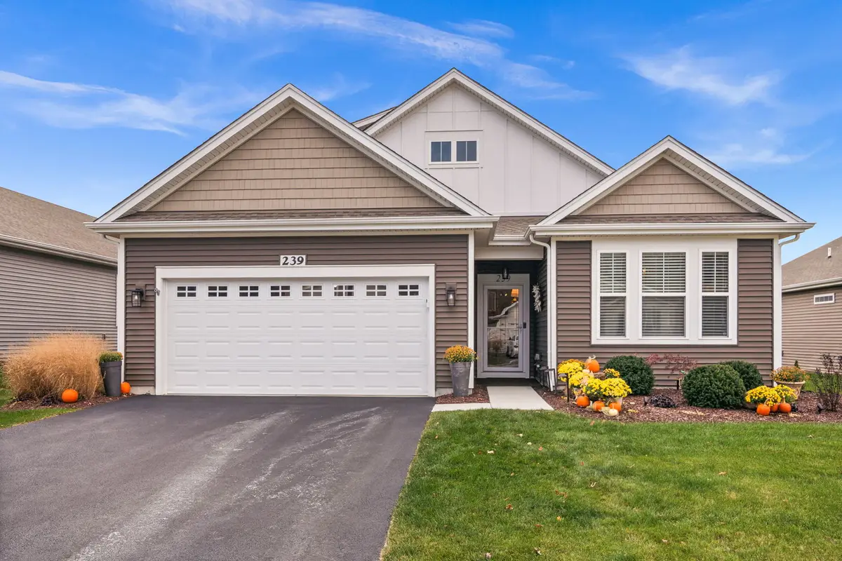 239 Durham Street, North Aurora, IL 60542 - Image #1