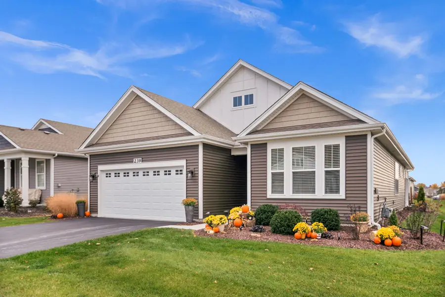 239 Durham Street, North Aurora, IL 60542 - Image #3