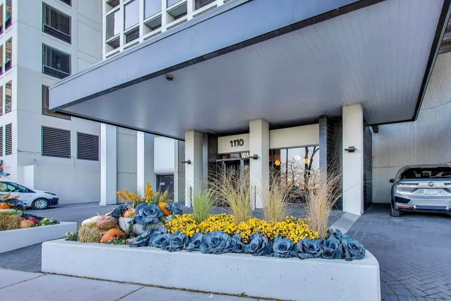 1110 N Lake Shore Drive #3N, Chicago, IL 60611 - #2