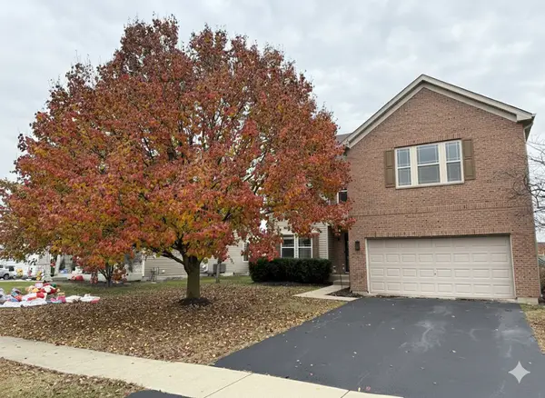 806 Treesdale Way, Joliet, IL 60431