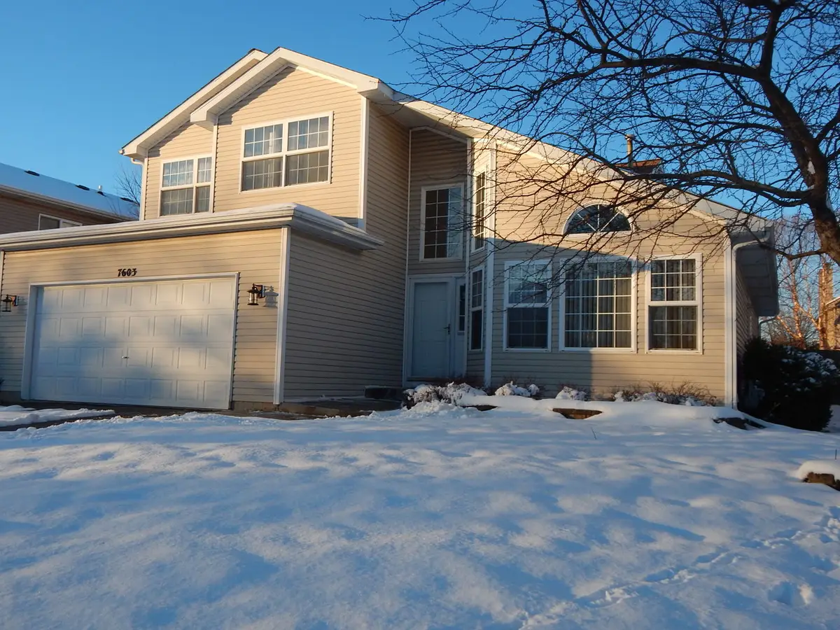 7603 Locust Lane, Plainfield, IL 60586 - #1