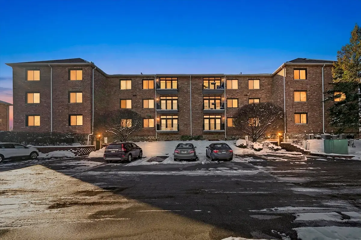 11001 Deblin Lane #203, Oak Lawn, IL 60453 - Image #1