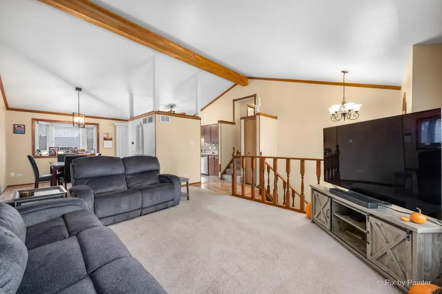 20762 S Ellen Lane, Frankfort, IL 60423 - Image #3